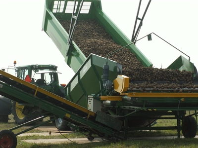Aandachtspunten rooien en inschuren